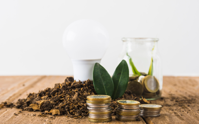 Adapting to a Green Economy