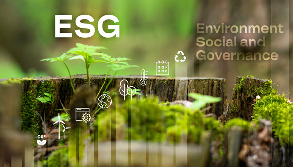 esg-icon-concept-environmental-social-governance-sustainable-ethical-business-gre